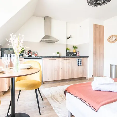 Apartment Lumineux - L'oasis - Parking Prive Strasbourg