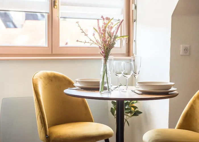 Lumineux - L'oasis - Parking Prive Strasbourg