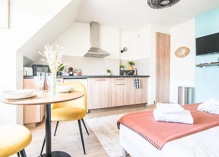 Lägenhet Lumineux - L'oasis - Parking Prive Strasbourg