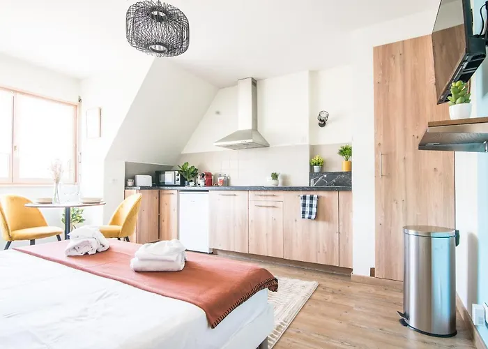 Lumineux - L'oasis - Parking Prive * Strasbourg