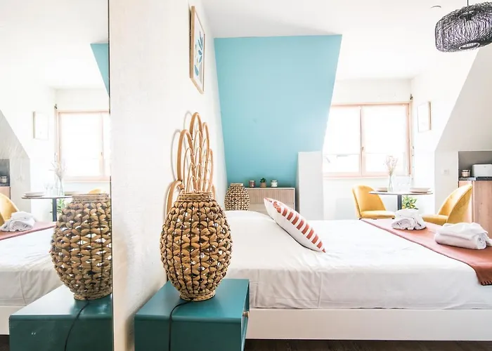 Lumineux - L'oasis - Parking Prive * Strasbourg