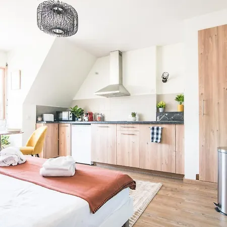 Lumineux - L'oasis - Parking Privé * Strasbourg